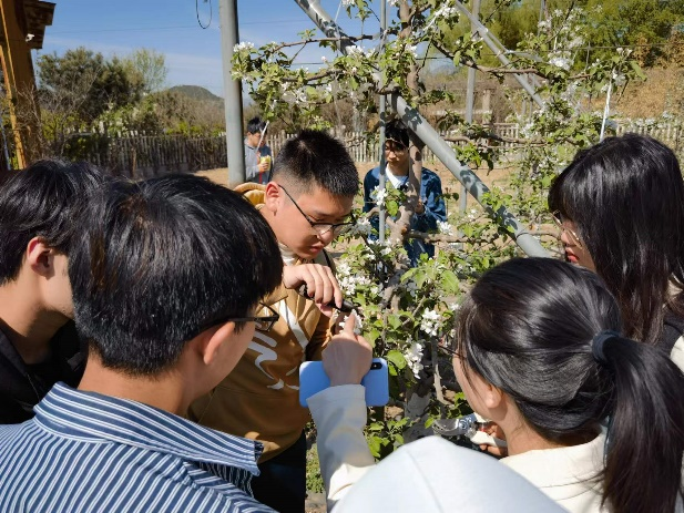 林学院组织学生前往北京天汇园公司开展劳动教育实践