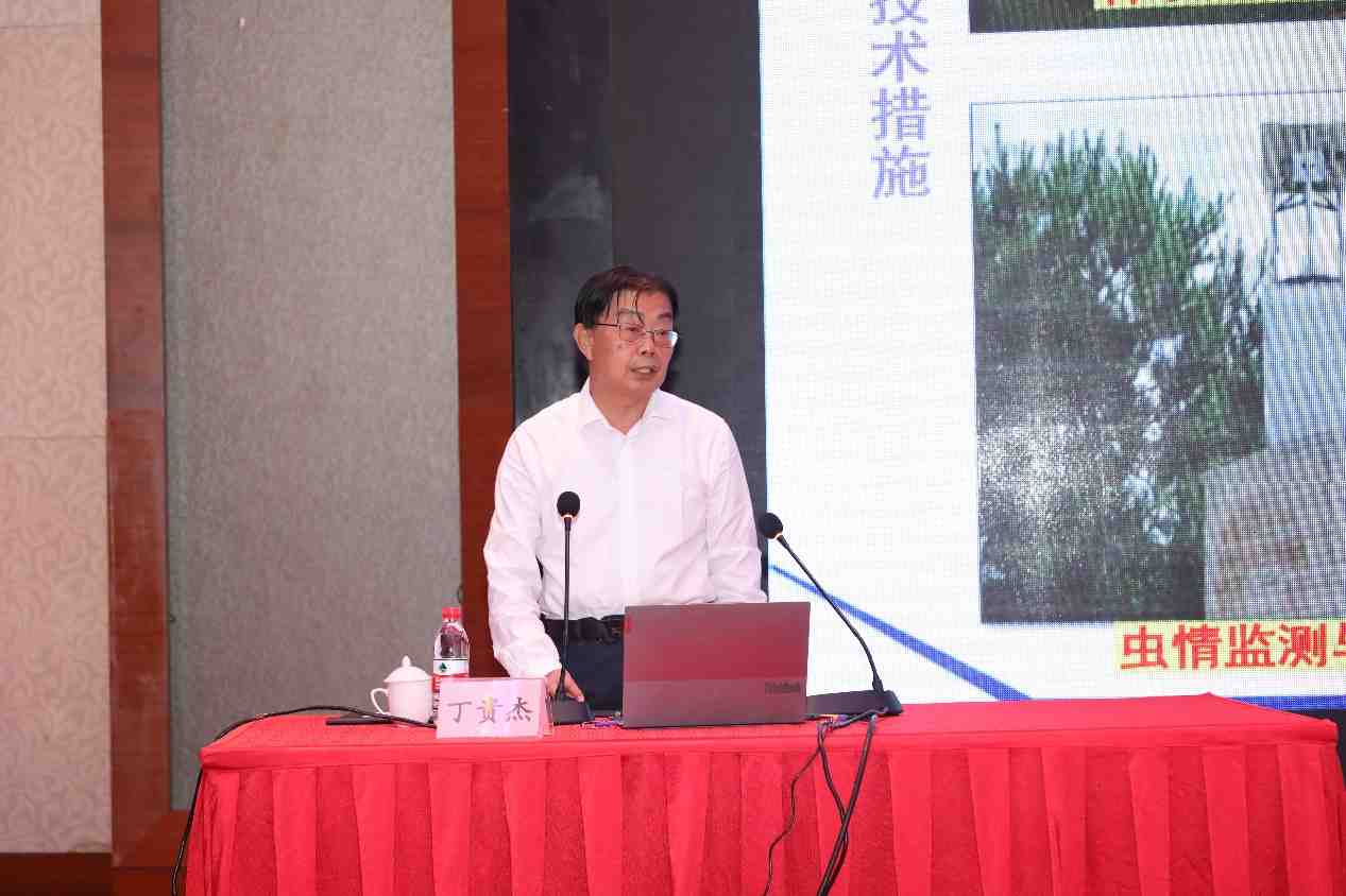 image7.jpeg