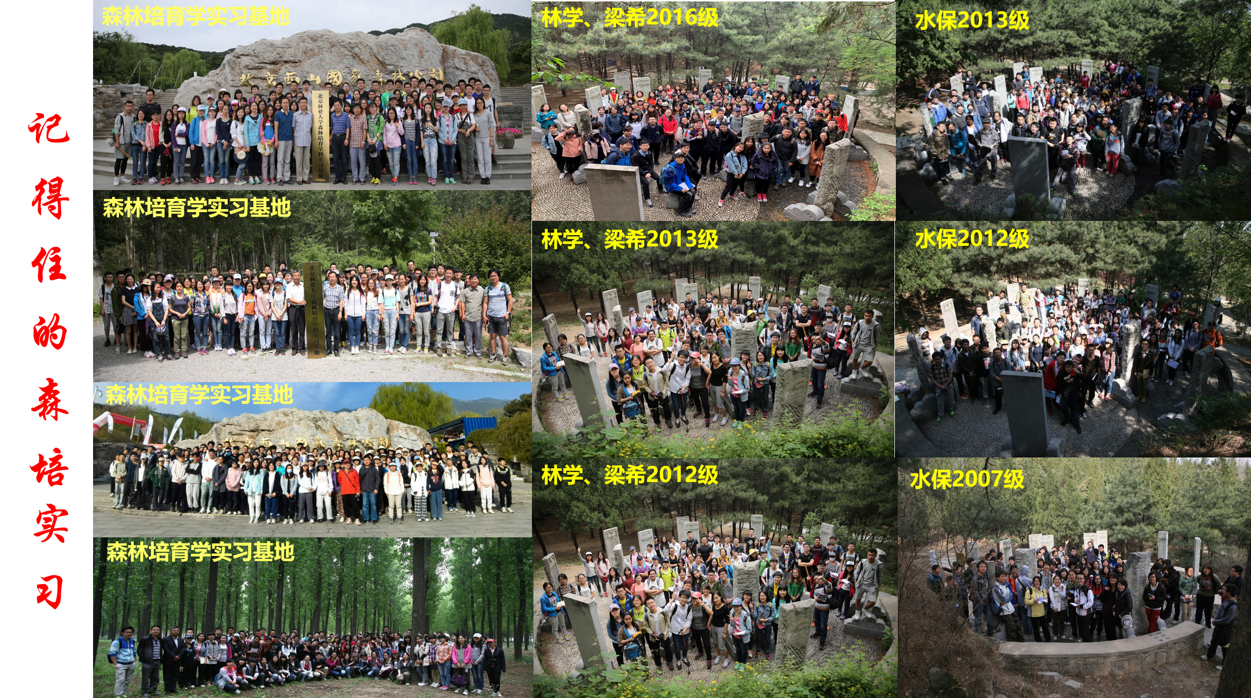 喜报！我院森林培育学本科育人团队荣获2024年北京高校优秀育人团队
