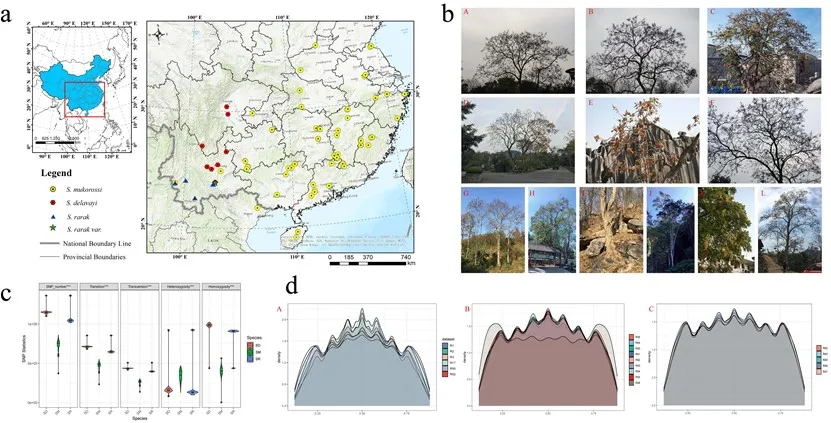 林学院科研团队在国际权威期刊《Plant Biotechnology Journal》上发表研究成果