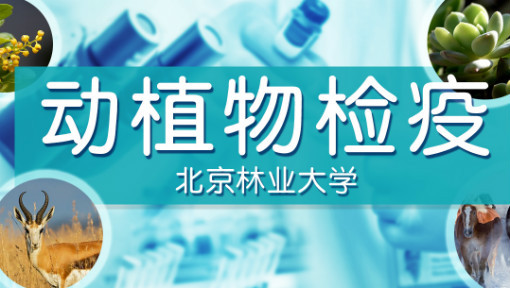 《动植物检疫》课程获评国家级一流本科课程（线上）：打造新时代生物安全前沿阵地