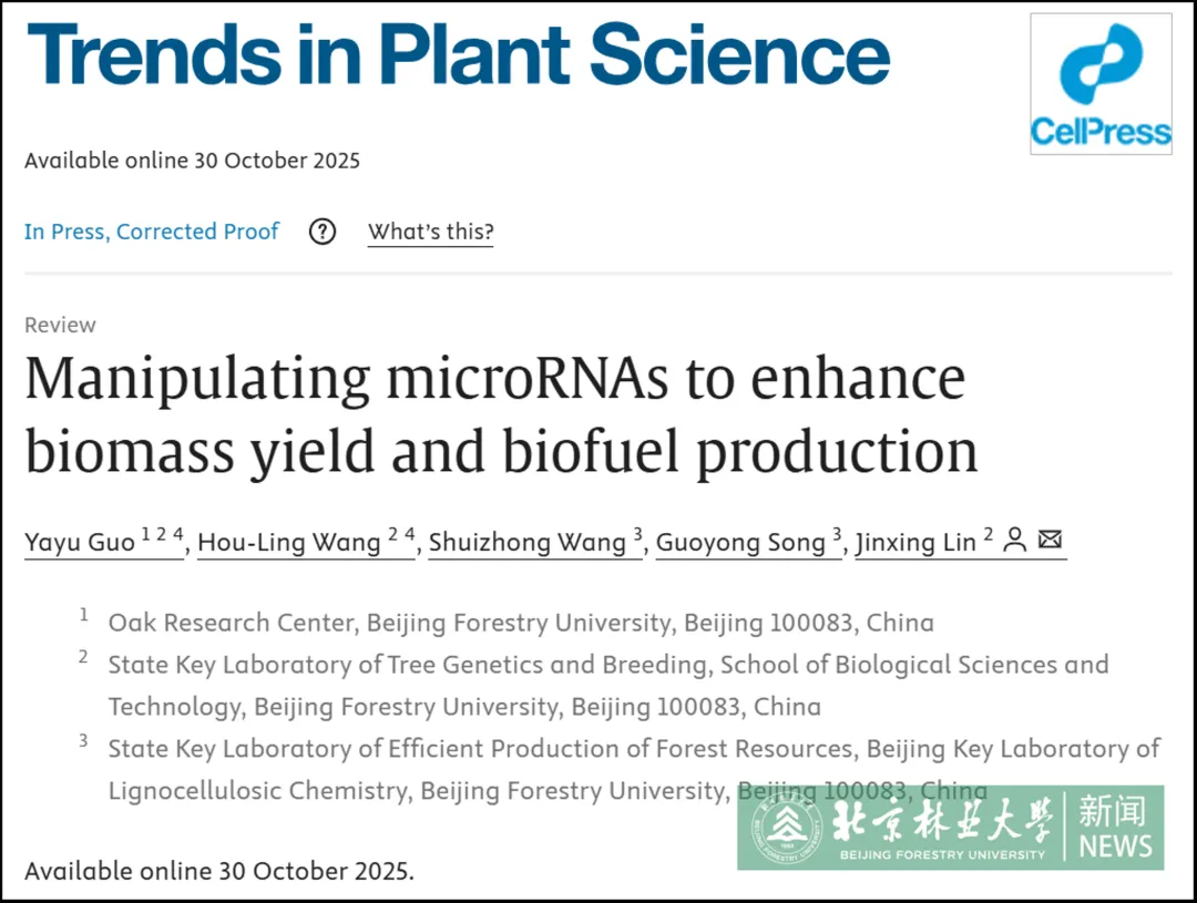 林学院教师在调控microRNA增效生物质与生物燃料生产方面取得进展