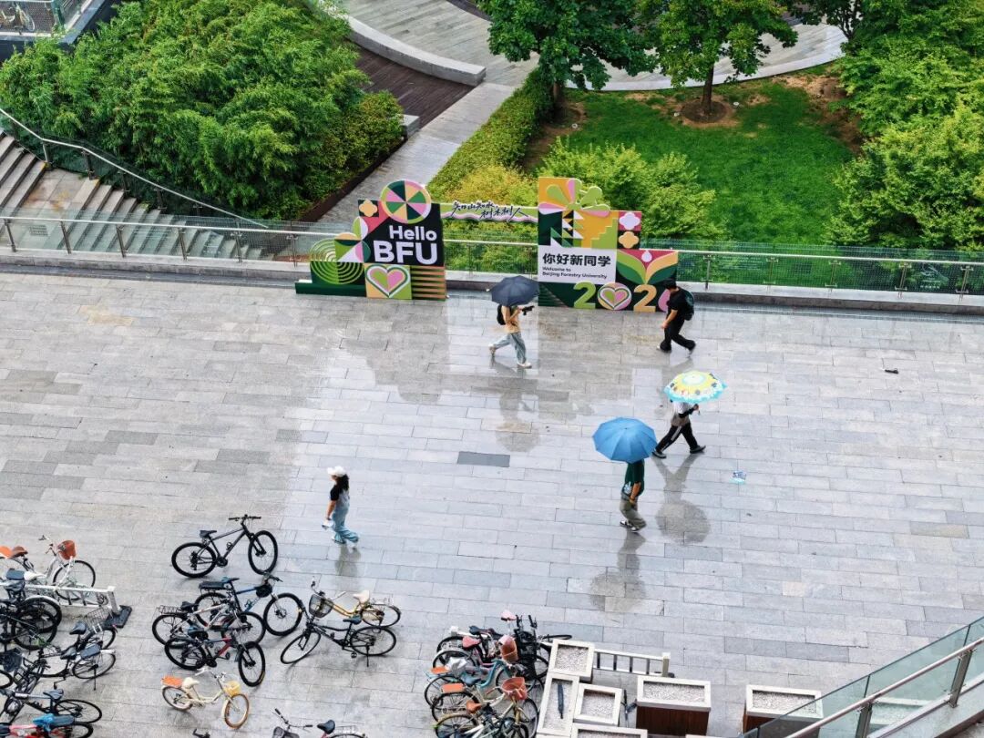 你好！2026级林学院新绿来报到！