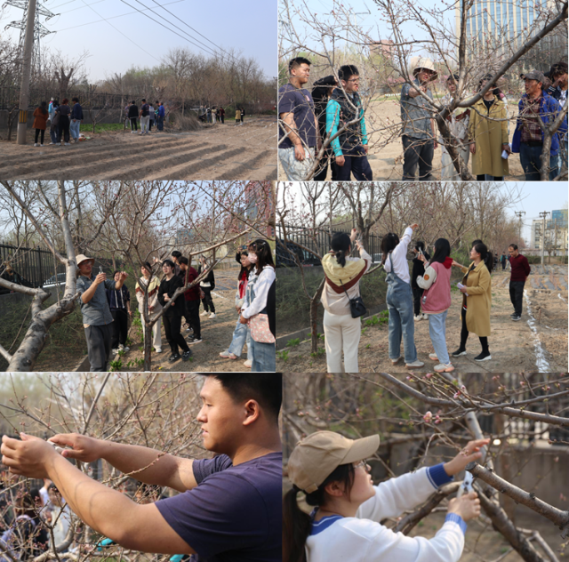 微信图片_20230403160345.png